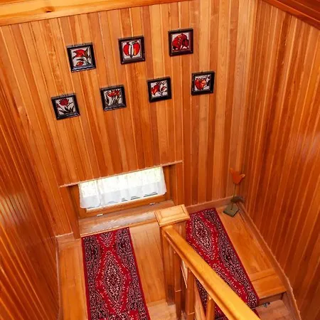 Pod Nosalem Ii בית אירוח זקופאנה